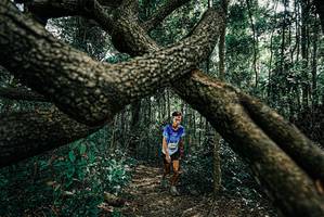 BIB: 
                            <button type="button" onclick="openModal(25664066)" class="btn btn-primary btn-sm float-right btn-popup" data-toggle="modal" data-target=".modal-high-quality">
                        <i class="fas fa-shopping-cart"></i> Add to Cart
                    </button>
                                            <button type="button" onclick="isThisMe(25664066, true)" class="btn btn-success btn-sm float-right btn-popup btn-isme hidden" data-toggle="tooltip" data-placement="bottom" title="นี่คือรูปของคุณใช่ไหม คลิกที่นี่เพื่อเอาเข้าอัลบั้ม">
                        <i class="fas fa-plus"></i> Add to album
                    </button>
                    <button type="button" onclick="isThisMe(25664066, false)" class="btn btn-warning btn-sm float-right btn-popup btn-isnotme hidden">
                        <i class="fas fa-ban"></i> Remove from album
                    </button>